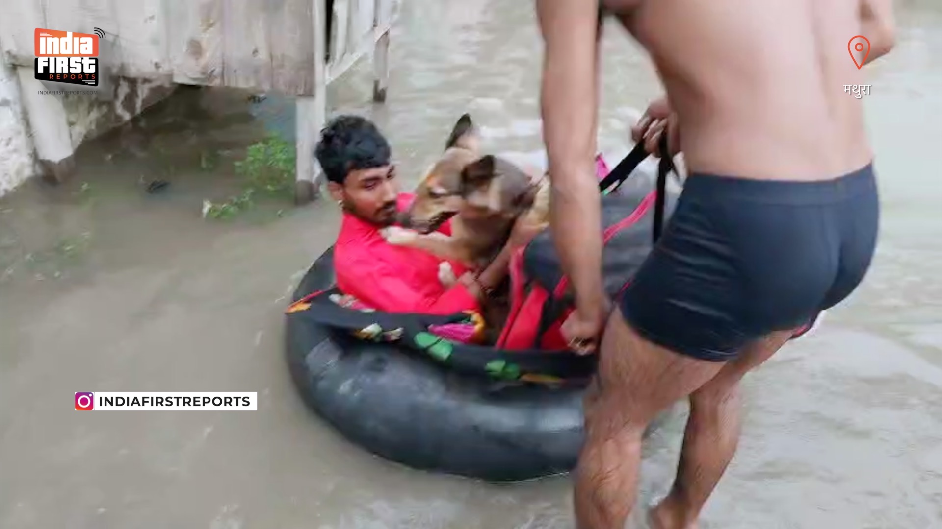 यमुना में उफान: वृंदावन डूबा, बाढ़ से जनजीवन अस्त-व्यस्त | Yamuna Floods: Vrindavan Submerged, Life Thrown Out of Gear